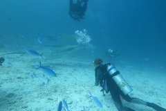 img_2400_1200_800
