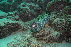img_2434_1200_800
