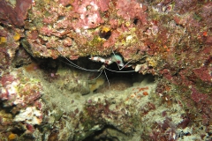 img_2443_1200_800