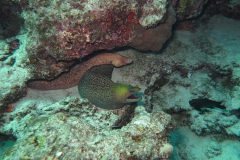 img_2446_1200_800