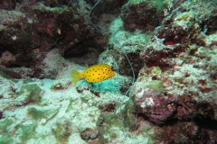 img_2457_1200_800