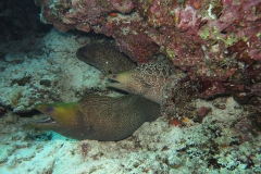 img_2460_1200_800