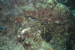 img_2483_1200_800
