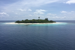 img_9025_1200_800