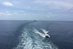 img_9029_1200_800
