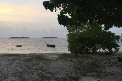 img_9065_1200_800