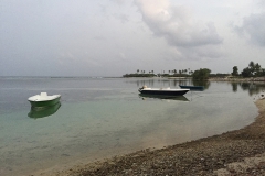 img_9069_1200_800