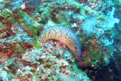 img_0725_1200