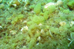 img_0729_1200