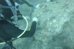 g0122959_1200