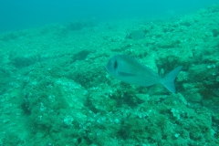 gopr3011_1200