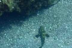 img_0564_1200