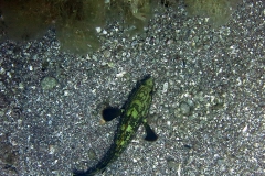 img_0568_1200