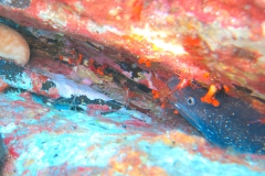 img_0581_1200
