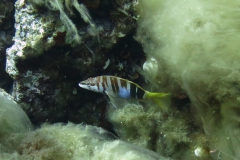 img_0592_1200