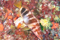 img_0607_1200