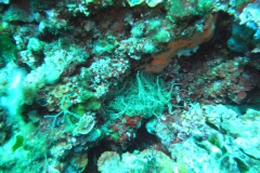 m0013230_1200