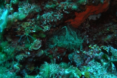 m0013231_1200