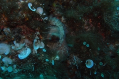 m0013238_1200