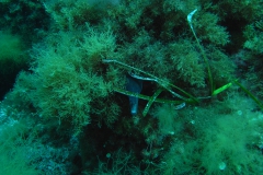 m0013242_1200