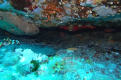 m0013261_1200