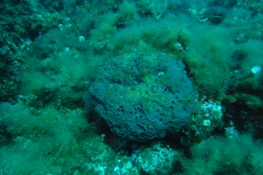 m0013281_1200