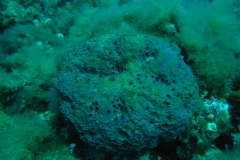 m0013282_1200