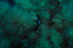 m0013283_1200