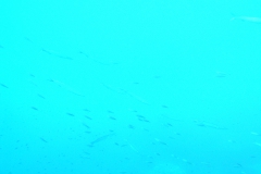 m0013286_1200