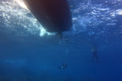 img_2554_1200