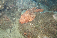img_2406_1200