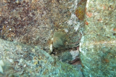 img_2412_1200