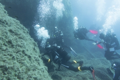 scuba giglio ottobre - 028_800