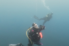 scuba-capraia-giugno-2019-010_800