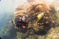 scuba-capraia-giugno-2019-014_800