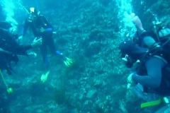 p1000212_800
