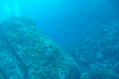 p1000219_800