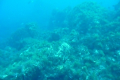 p1000229_800
