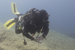 scuba-giglio-maggio-2019-016_800