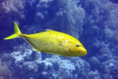 img_8500_800