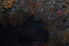 m0013760.jpeg_800