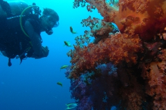 m0013808.jpeg_800