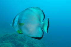 m0013820.jpeg_800