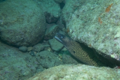 scuba-lerici-2019-002_800