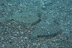 Alberto27_800
