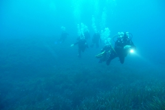 Capraia_nov_21_74_800