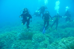 Capraia63_800