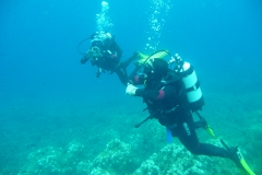 P1000271_800