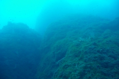 Elba27_800
