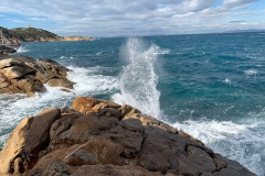 Giglio64_800